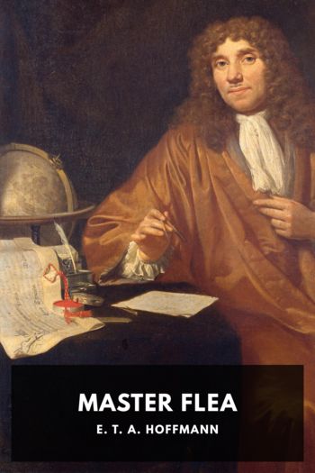 Читать книгу Master Flea, автор E. T. A. Hoffmann Master Flea - E. T. A. Hoffmann