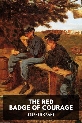 Читать книгу The Red Badge of Courage, автор Stephen Crane The Red Badge of Courage - Stephen Crane