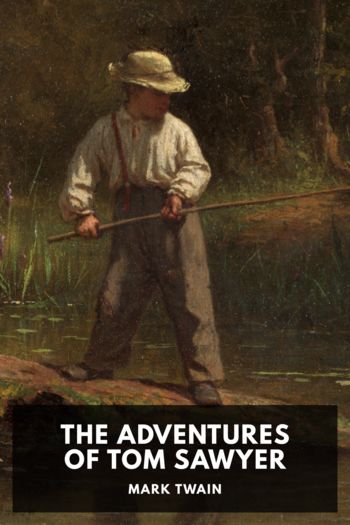 The Adventures of Tom Sawyer - Mark Twain