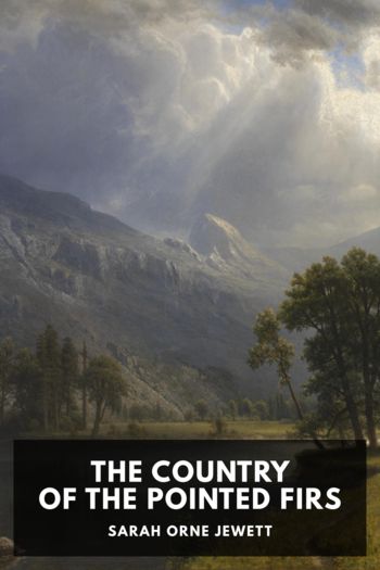 Читать книгу The Country of the Pointed Firs, автор Sarah Orne Jewett The Country of the Pointed Firs - Sarah Orne Jewett
