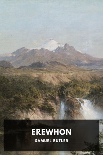 Читать книгу Erewhon, автор Samuel Butler Erewhon - Samuel Butler