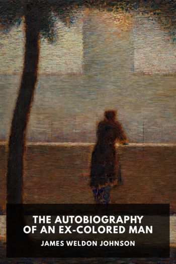 Читать книгу The Autobiography of an Ex-Colored Man, автор James Weldon Johnson The Autobiography of an Ex-Colored Man - James Weldon Johnson