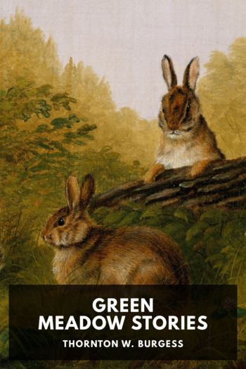 Читать книгу Green Meadow Stories, автор Thornton W. Burgess Green Meadow Stories - Thornton W. Burgess
