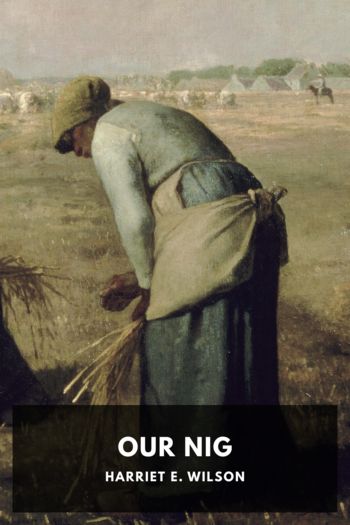 Our Nig - Harriet E. Wilson