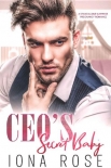 CEO'S Secret Baby: A Standalone Surprise Pregnancy Romance - Iona Rose