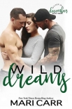 Wild Dreams: A Friends to Lovers romance (Wilder Irish Book 12) - Mari Carr
