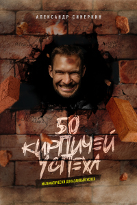 Читать книгу 50 кирпичей успеха, автор Александр Синеркин 50 кирпичей успеха - Александр Синеркин