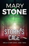 Storm's Cage - Mary Stone