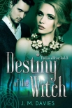 Destiny of the Witch - J Davies