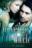 Читать книгу Revenge of the Witch