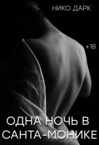 Читать книгу Одна ночь в Санта-Монике, автор Нико Дарк Одна ночь в Санта-Монике - Нико Дарк
