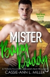 Mister Baby Daddy (Bad Boys in Love Book 3) - Cassie-Ann Miller