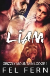 Liam: A MM Mpreg Shifter Romance (Grizzly Mountain Lodge Book 1) - Fel Fern