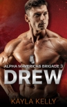 Drew (Alpha Mavericks Brigade Book 3) - Kayla Kelly