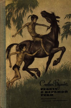 Читать книгу Ребята с Вербной реки, автор Булайич Стеван Ребята с Вербной реки - Булайич Стеван