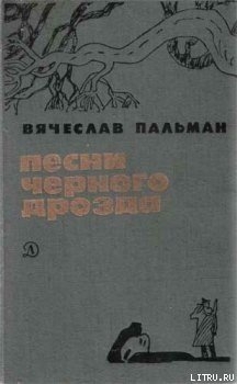 Там, за рекой - Пальман Вячеслав Иванович