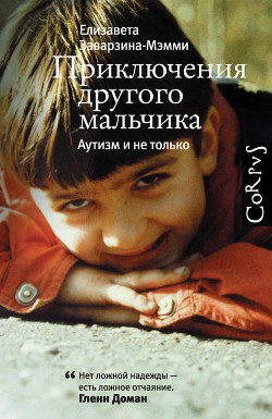 Читать книгу Приключения другого мальчика. Аутизм и не только