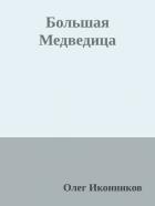Читать книгу Большая Медведица (СИ), автор Иконников Олег Большая Медведица (СИ) - Иконников Олег