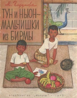 Читать книгу Тун и Ньюн - мальчишки из Бирмы, автор Годунова Мария Сергеевна Тун и Ньюн - мальчишки из Бирмы - Годунова Мария Сергеевна