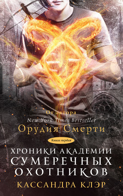 Хроники Академии Сумеречных охотников. Книга I (сборник) - Власенко Н. П.