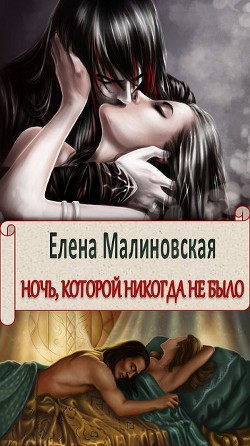 Ночь, которой никогда не было (СИ) - Малиновская Елена Михайловна