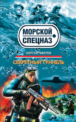 Читать книгу Секретный туннель