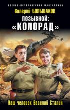 Позывной: Колорад. Наш человек Василий Сталин - Большаков Валерий Петрович
