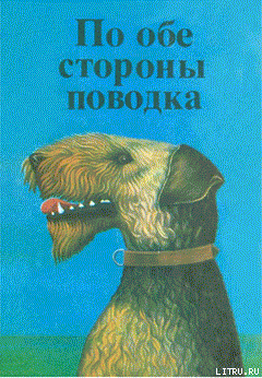 Душа собаки - Травен Бруно