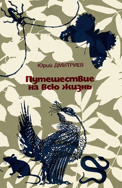 Путешествие на всю жизнь - Дмитриев Юрий