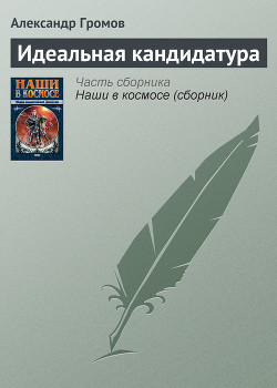 Идеальная кандидатура - Громов Александр Николаевич