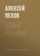Читать книгу Особый почтовый