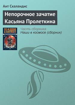 Непорочное зачатие Касьяна Пролеткина - Скаландис Ант
