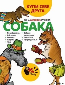 Купи себе друга: собака - Сучкова Анна