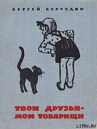 Двухметровое несчастье - Баруздин Сергей Алексеевич