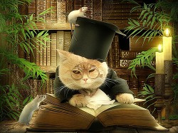 Читать книгу С полемическим задором (СИ)
