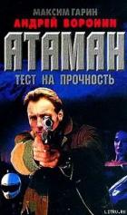 Тест на прочность - Воронин Андрей Николаевич