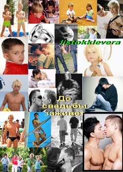 Читать книгу До свадьбы заживёт (СИ)