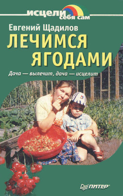 Лечимся ягодами. Дача — вылечит, дача — исцелит - Щадилов Евгений