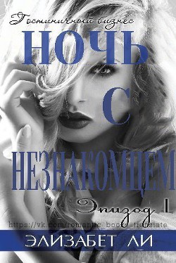 Ночь с незнакомцем. Часть 1 (ЛП) - Ли Элизабет