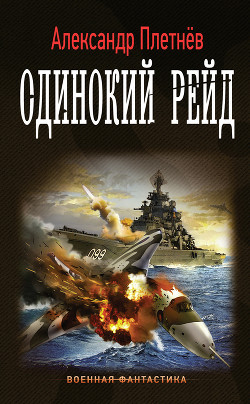 Одинокий рейд (СИ) - Плетнёв Александр Никитич