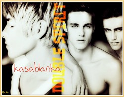 Double spirit. Часть 1 (СИ) - "kasablanka"