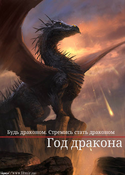 Год дракона (СИ) - "Civettina"