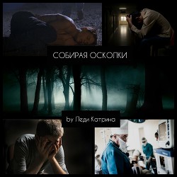 Собирая осколки (СИ) - "Леди Катрина"