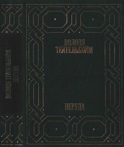 Читать книгу Неруда, автор Тейтельбойм Володя Неруда - Тейтельбойм Володя