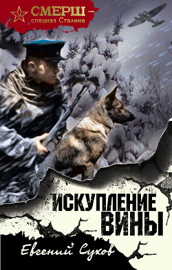 Искупление вины - Сухов Евгений Евгеньевич