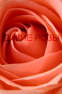 Читать книгу Дикие розы (СИ), автор "duchesse Durand" Дикие розы (СИ) - "duchesse Durand"