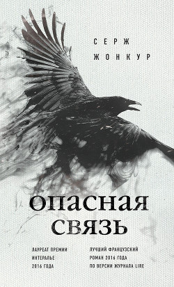 Читать книгу Опасная связь, автор Жонкур Серж Опасная связь - Жонкур Серж
