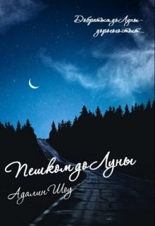 Читать книгу Пешком до Луны (СИ), автор Шоу Адалин Пешком до Луны (СИ) - Шоу Адалин