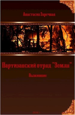 Партизанский отряд 