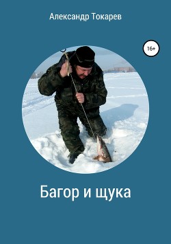 Багор и щука. Сборник - Токарев Александр